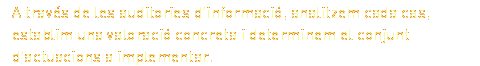 A través de les auditories d&#039;informació, analitzem cada cas, establim una valoració concreta i determinem el conjunt d&#039;actuacions a implementar.